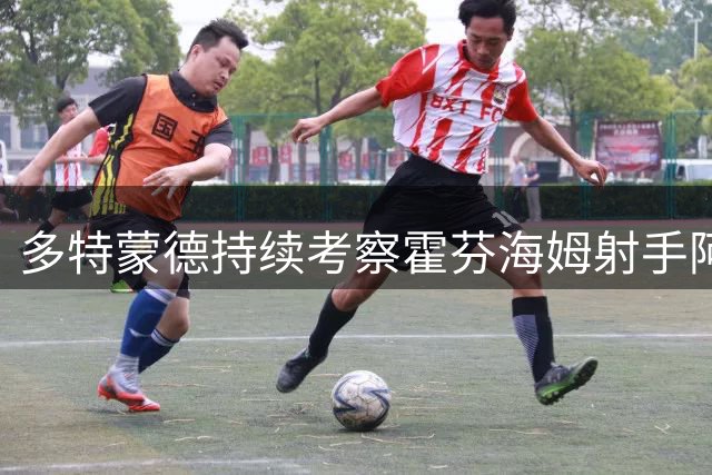 多特蒙德持续考察霍芬海姆射手阿斯拉尼 转会谈判即将提速